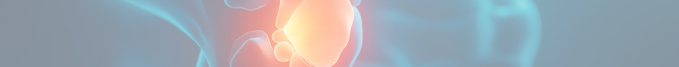 Illustration médicale d’une articulation du genou avec inflammation, représentant les douleurs liées à l’arthrose.