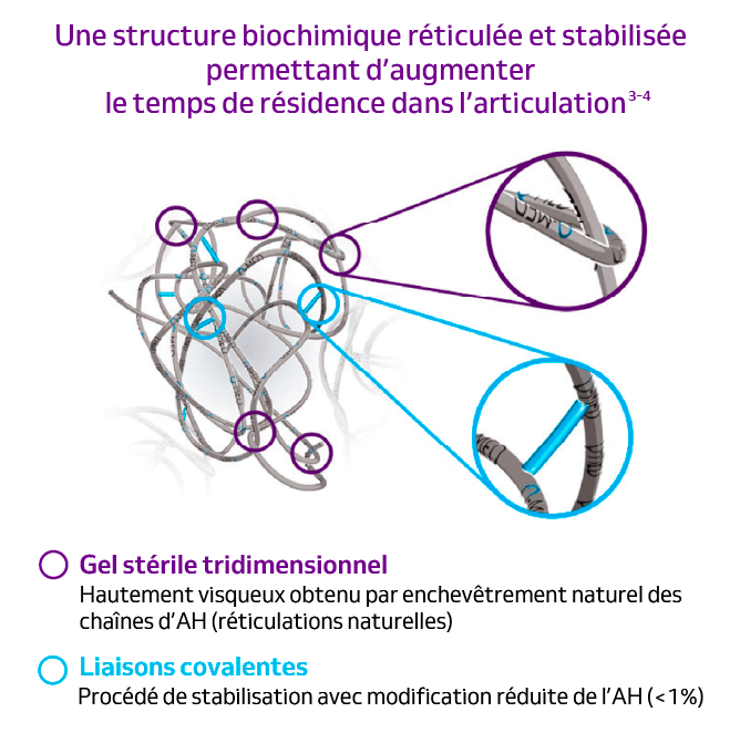 Schéma de la structure réticulée de l’acide hyaluronique dans Durolane, montrant le gel tridimensionnel et les liaisons covalentes pour une action prolongée.